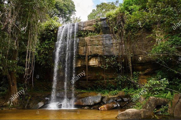 Shimba hills - Sheldrick waterfall